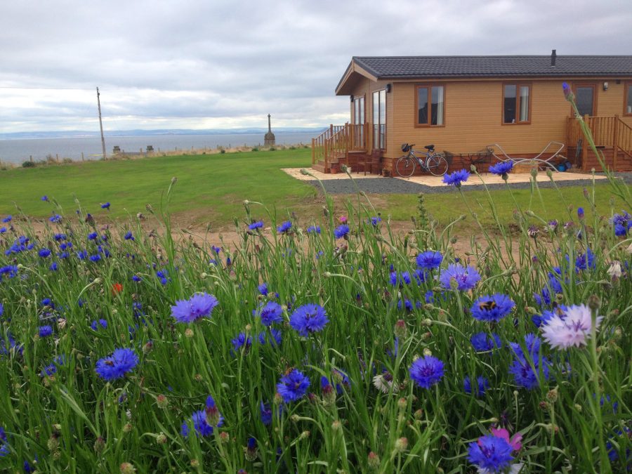 Lodge with flower bank