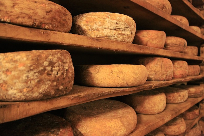 Shelves of cheese